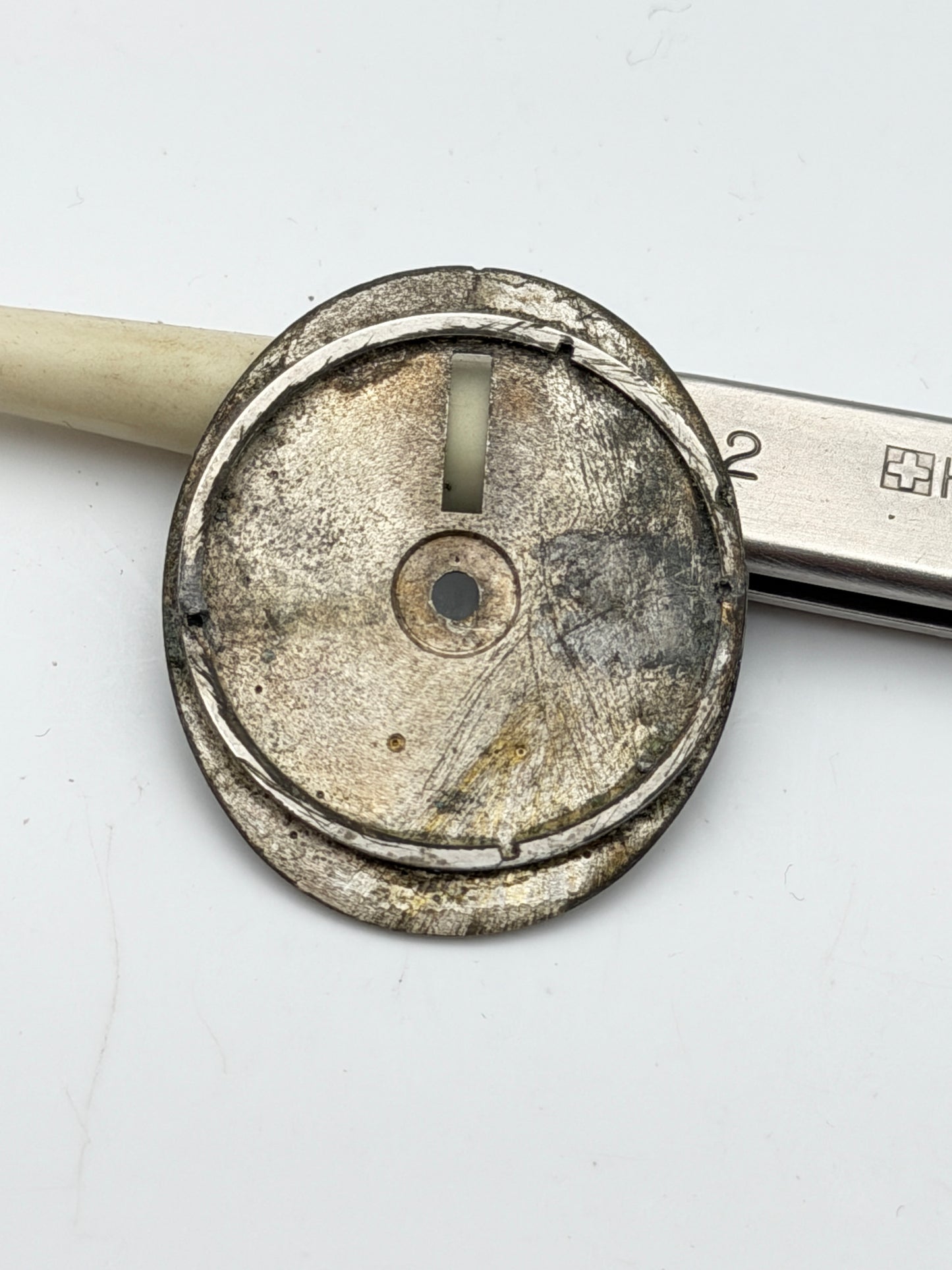 citizen 24.3mm dial quadrante