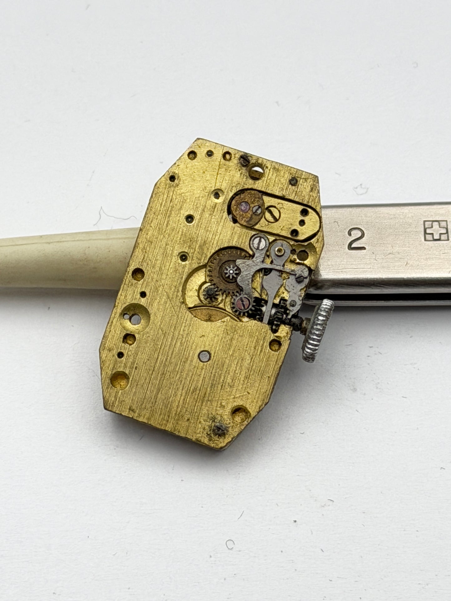 anonimo forma vintage 11x20mm movement movimento