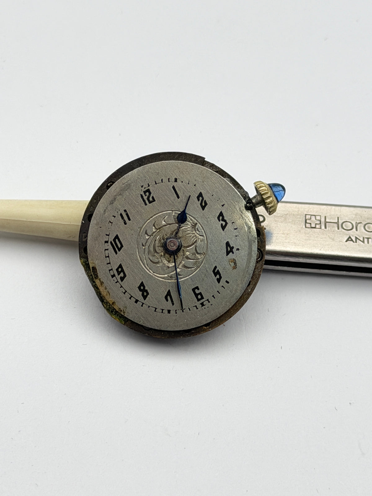anonimo 24mm movement movimento