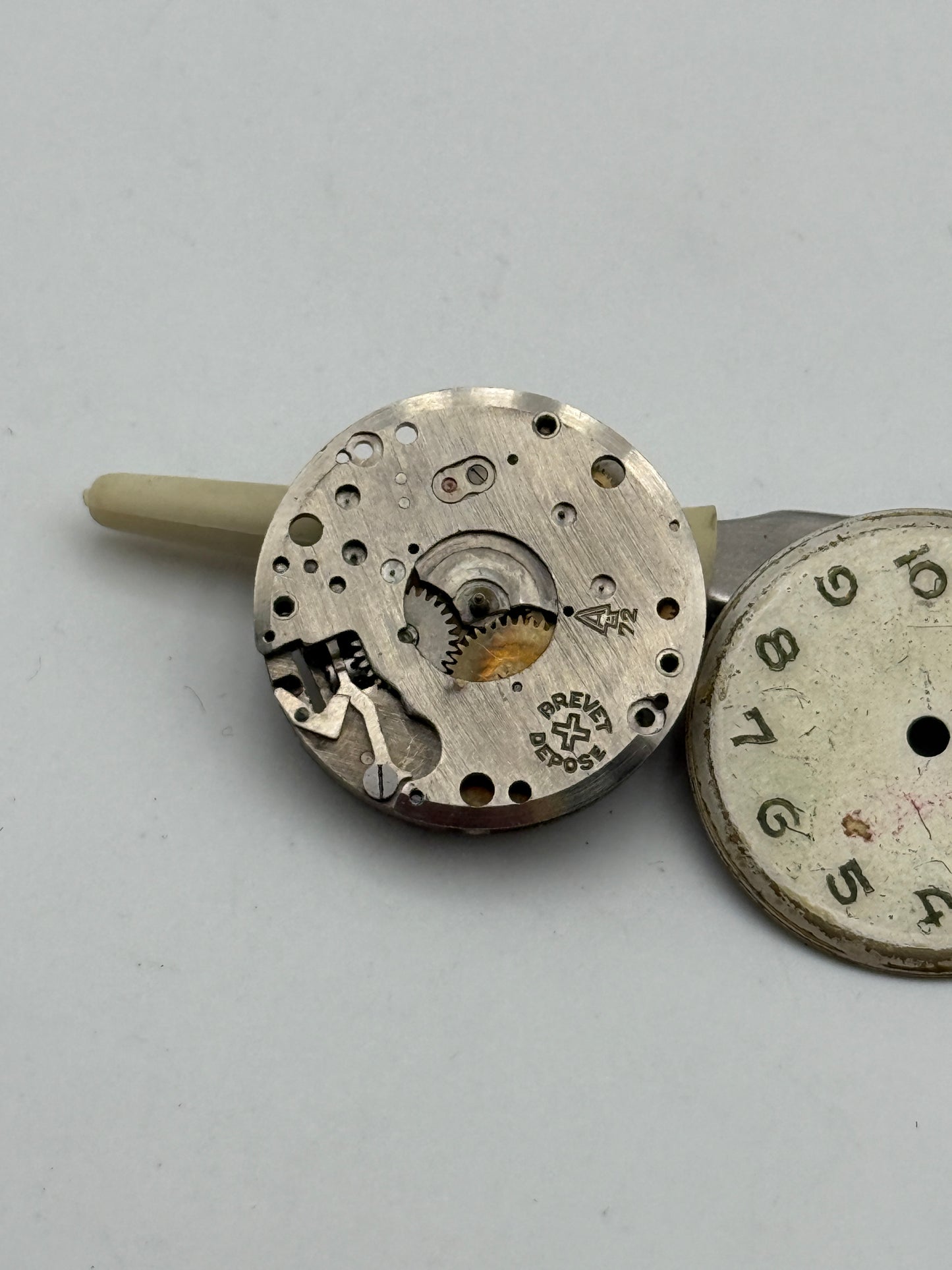 alpina 72 a movement movimento