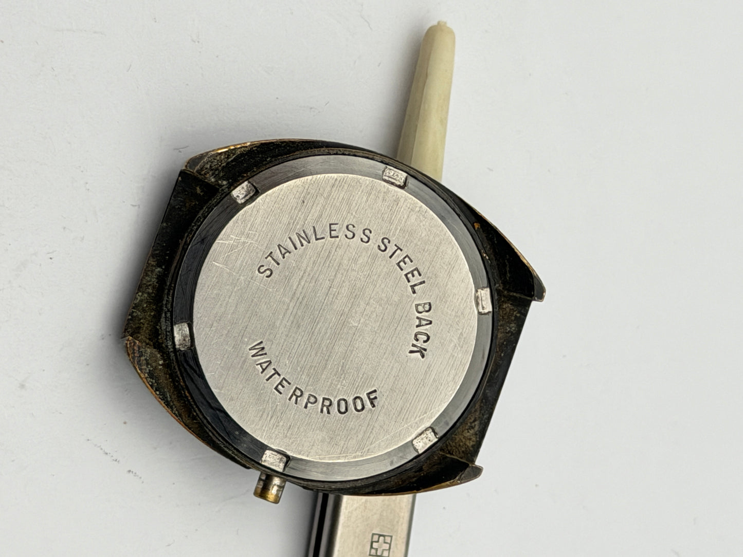 anonimo 31-25mm cassa case