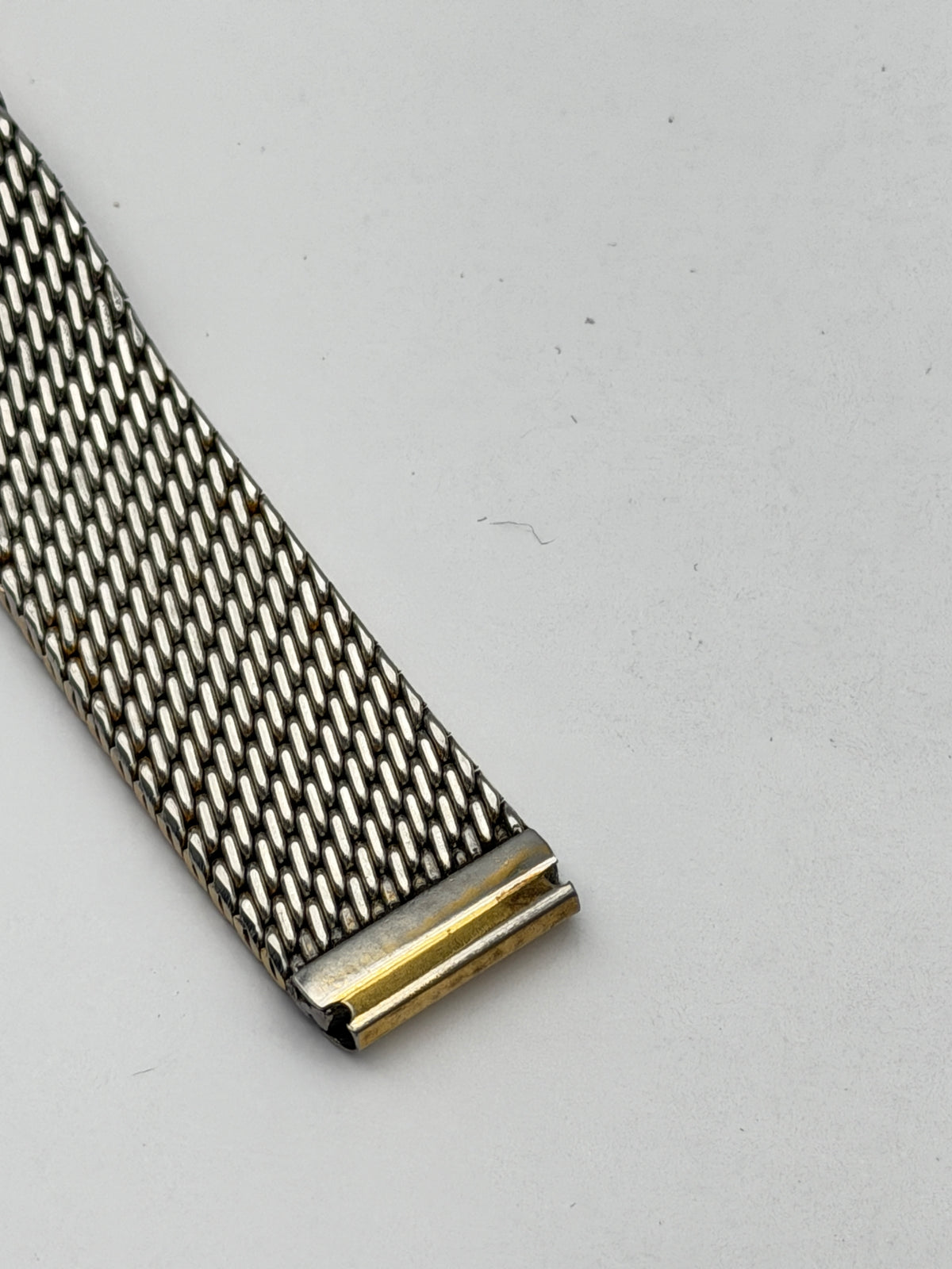 campagnolo citizen 17mm cinturino strap