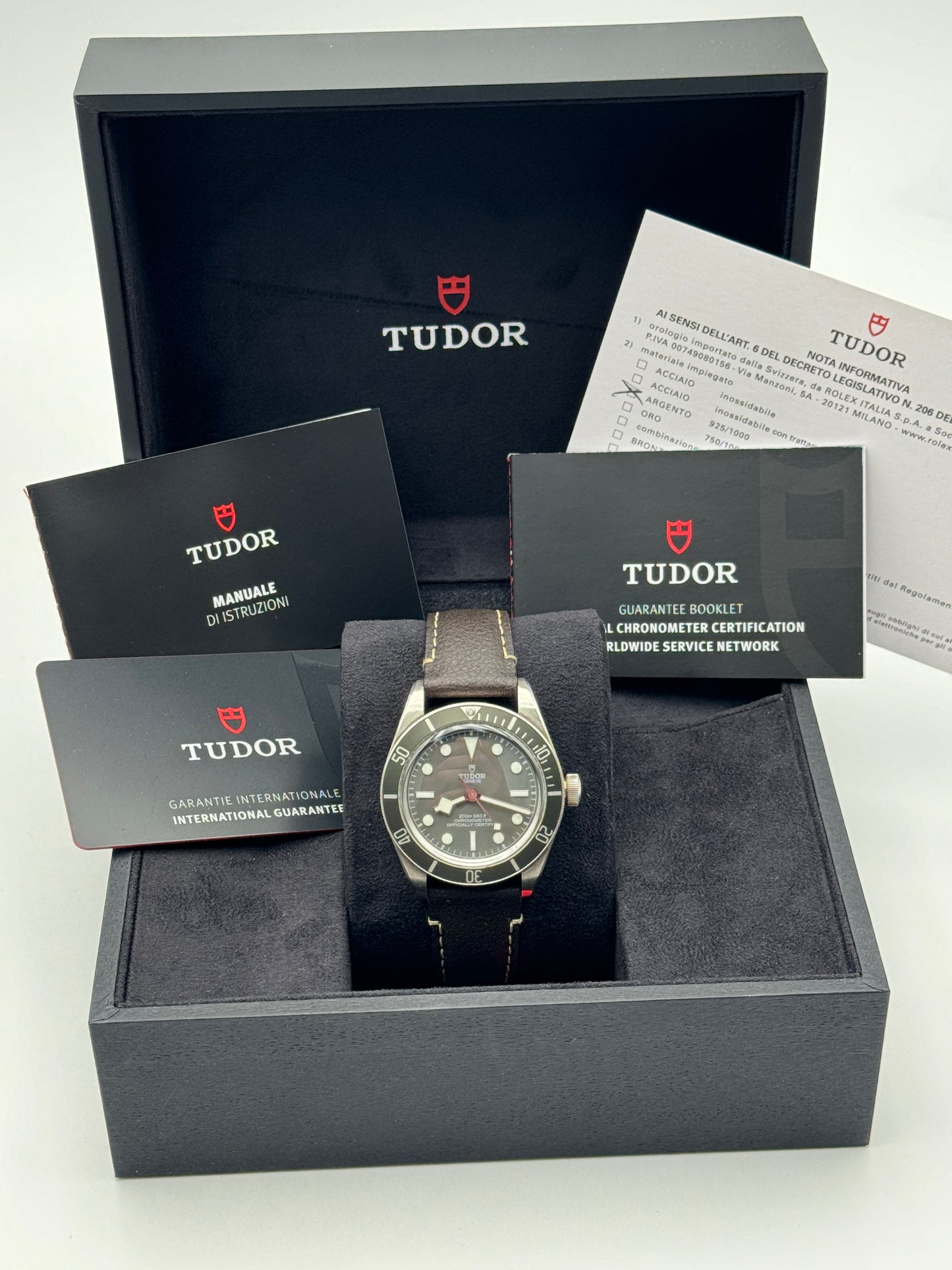 Tudor Black Bay 58 79010SG