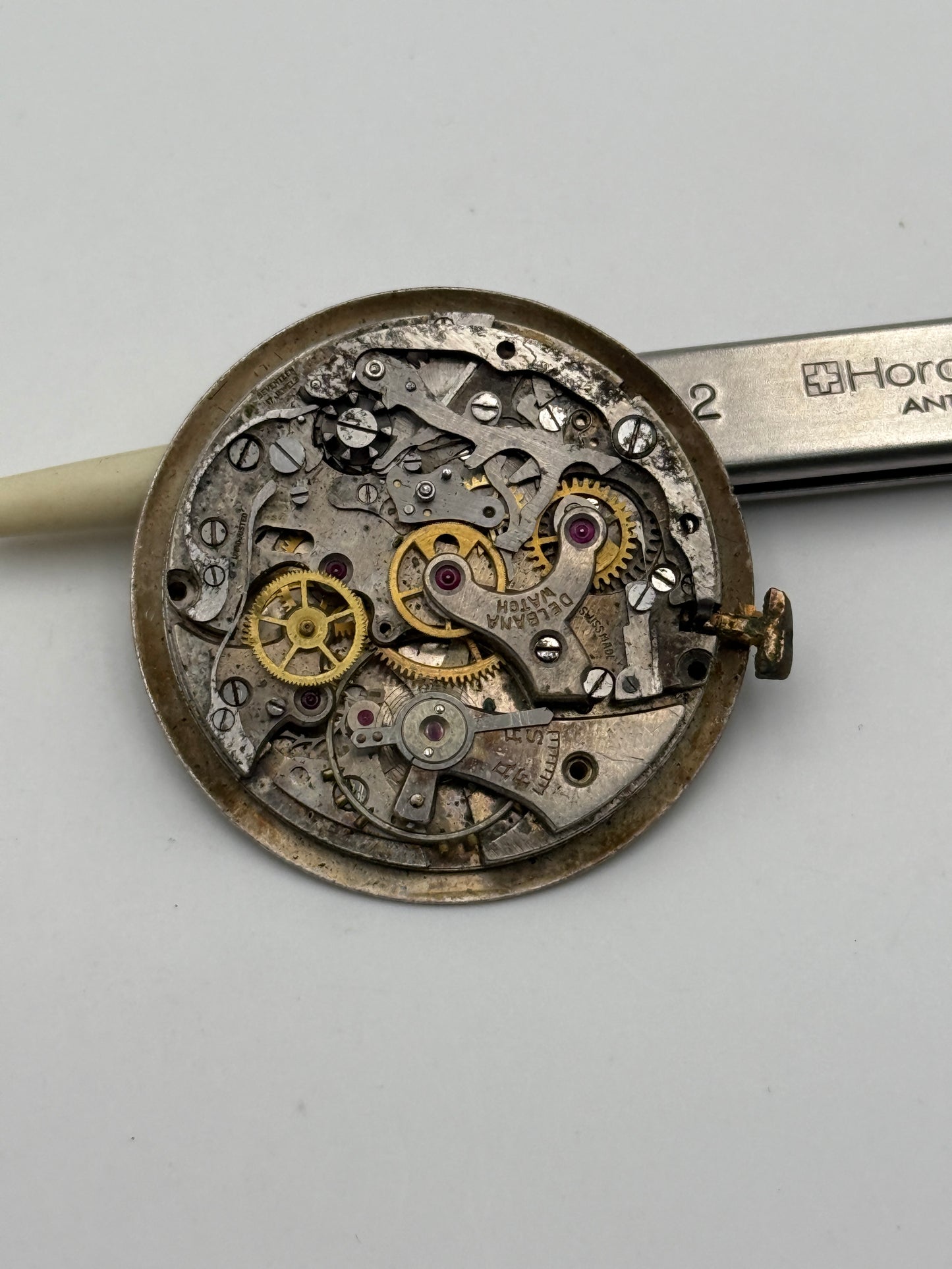 delbana venus chrono 31mm movement movimento