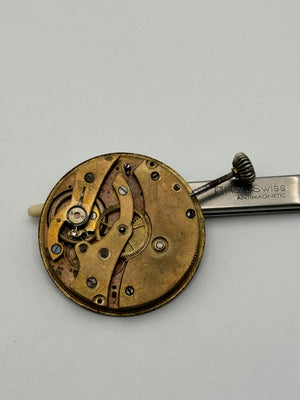 Stipenda pocket watch