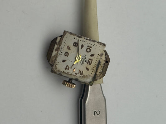 dichi watch swiss made movement movimento