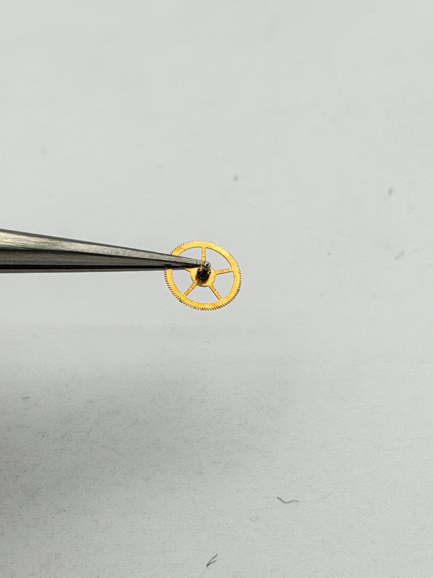 rolex ruota wheel first primarolex ruota wheel first prima