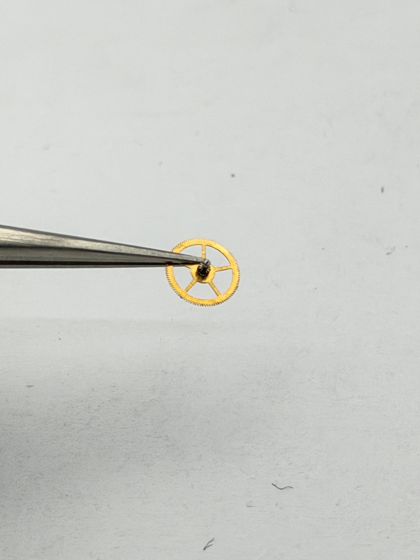 rolex ruota wheel first primarolex ruota wheel first prima