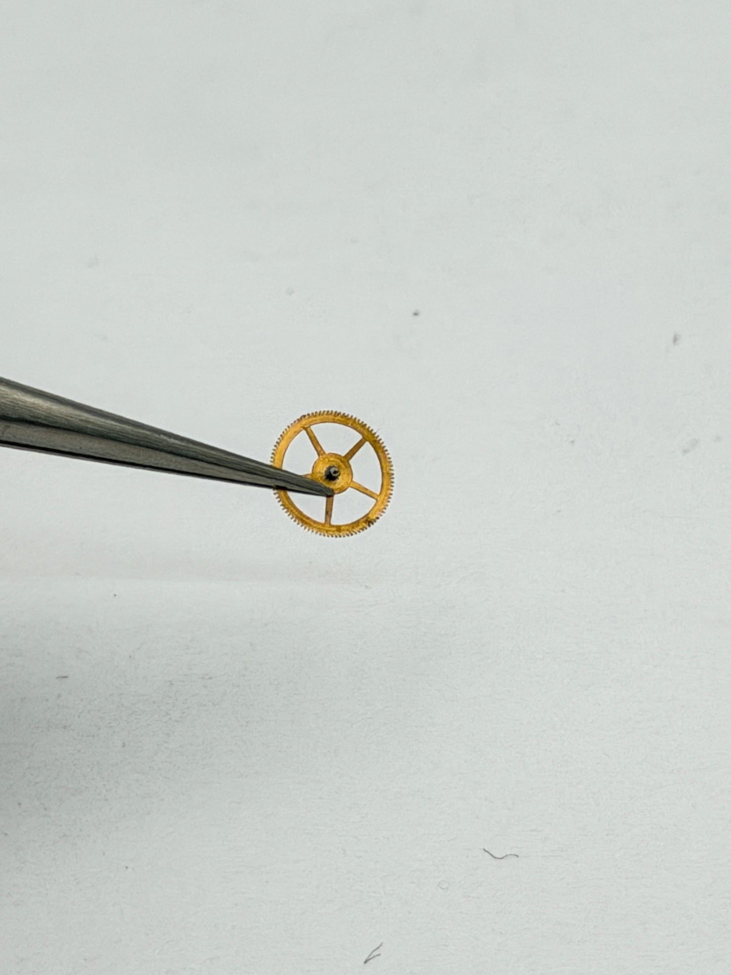 rolex ruota wheel first primarolex ruota wheel first prima