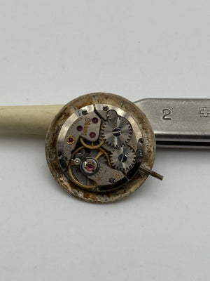 eberhard 151 movement movimento