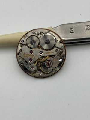 eberhard 17 jewels movement movimento