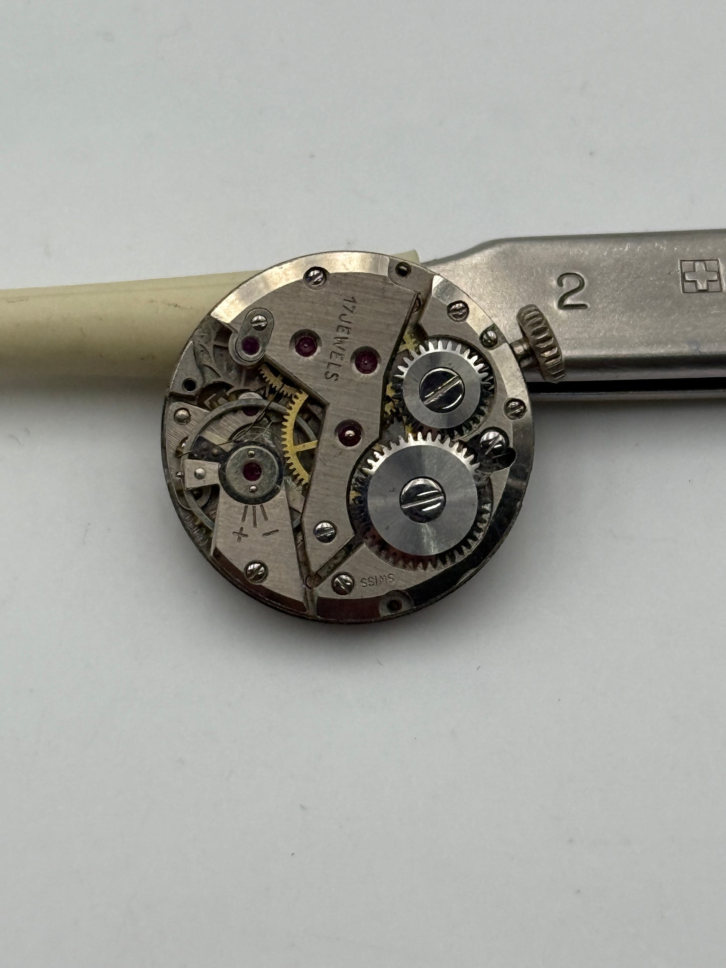 winsex ut 6560 movement movimento