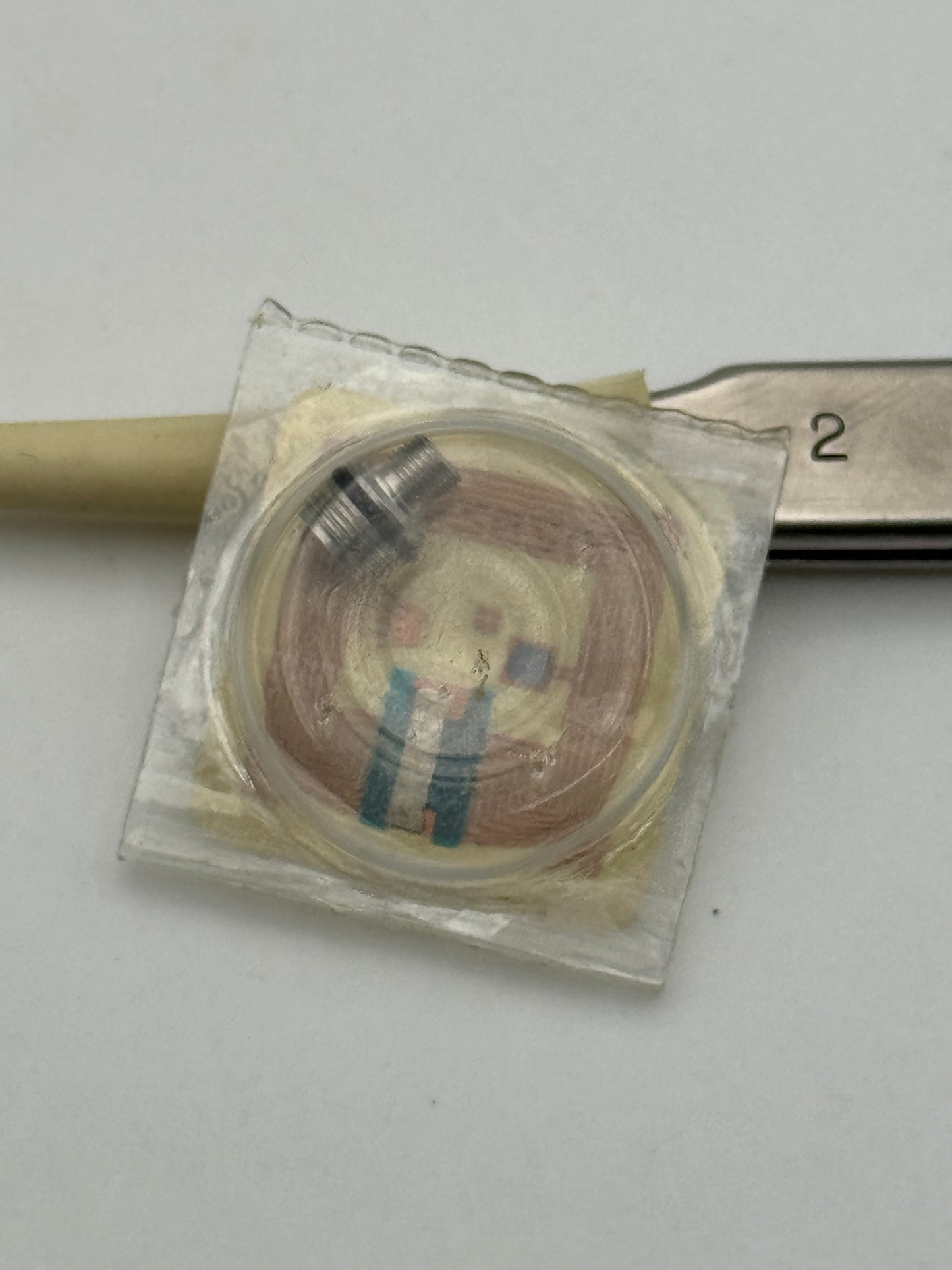Rolex b3135-5600-y5  3135 tubo cassa tube case