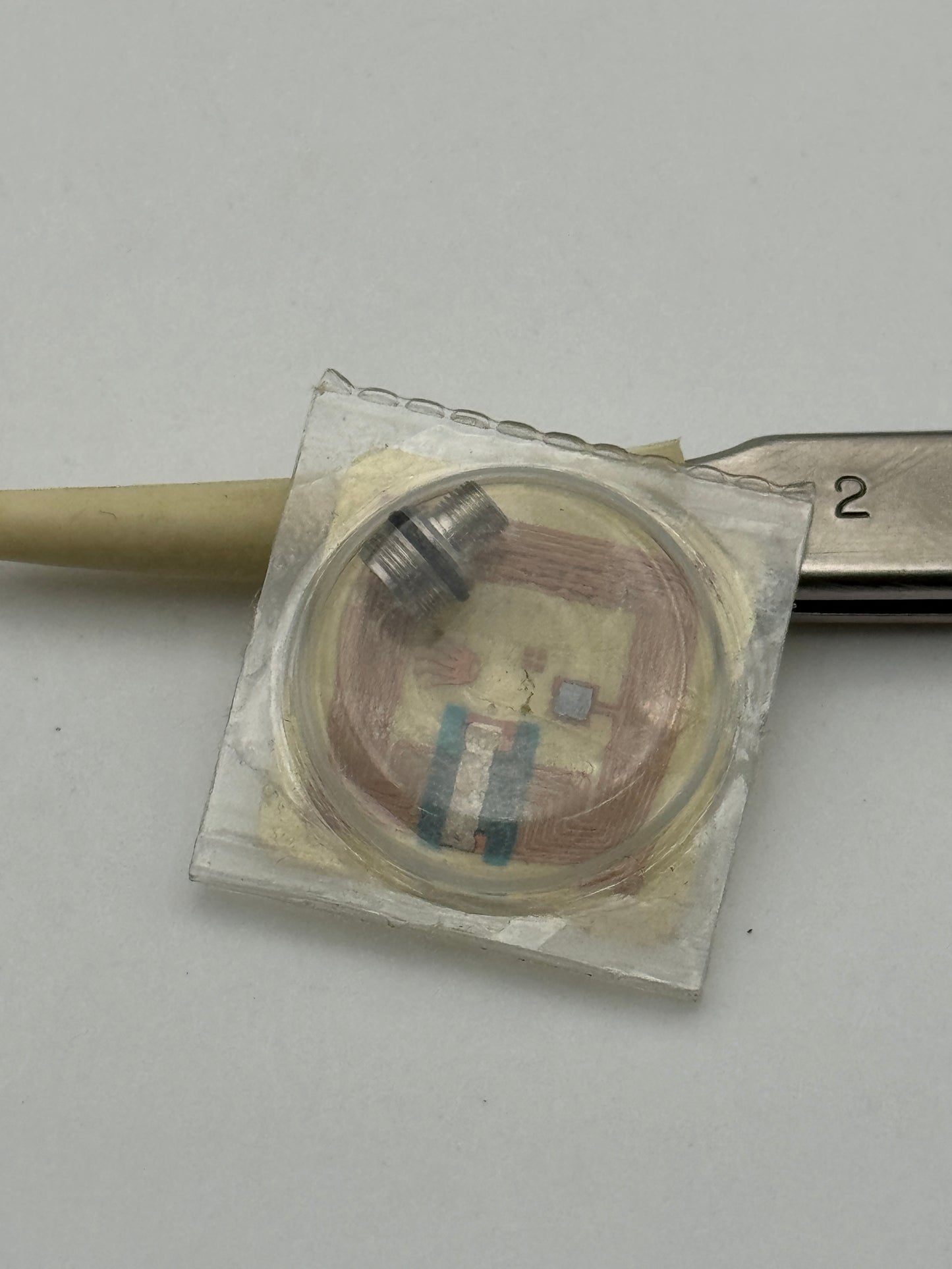 Rolex b3135-5600-y5  3135 tubo cassa tube case