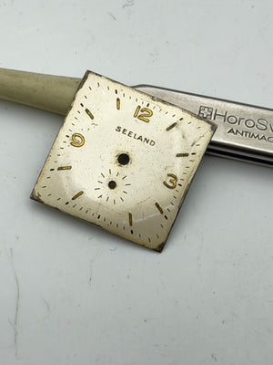 seeland 23.5mm dial quadrante