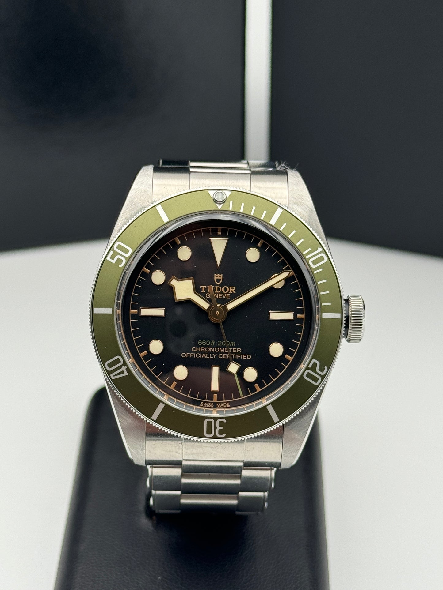 Tudor Black Bay Harrods 79230g