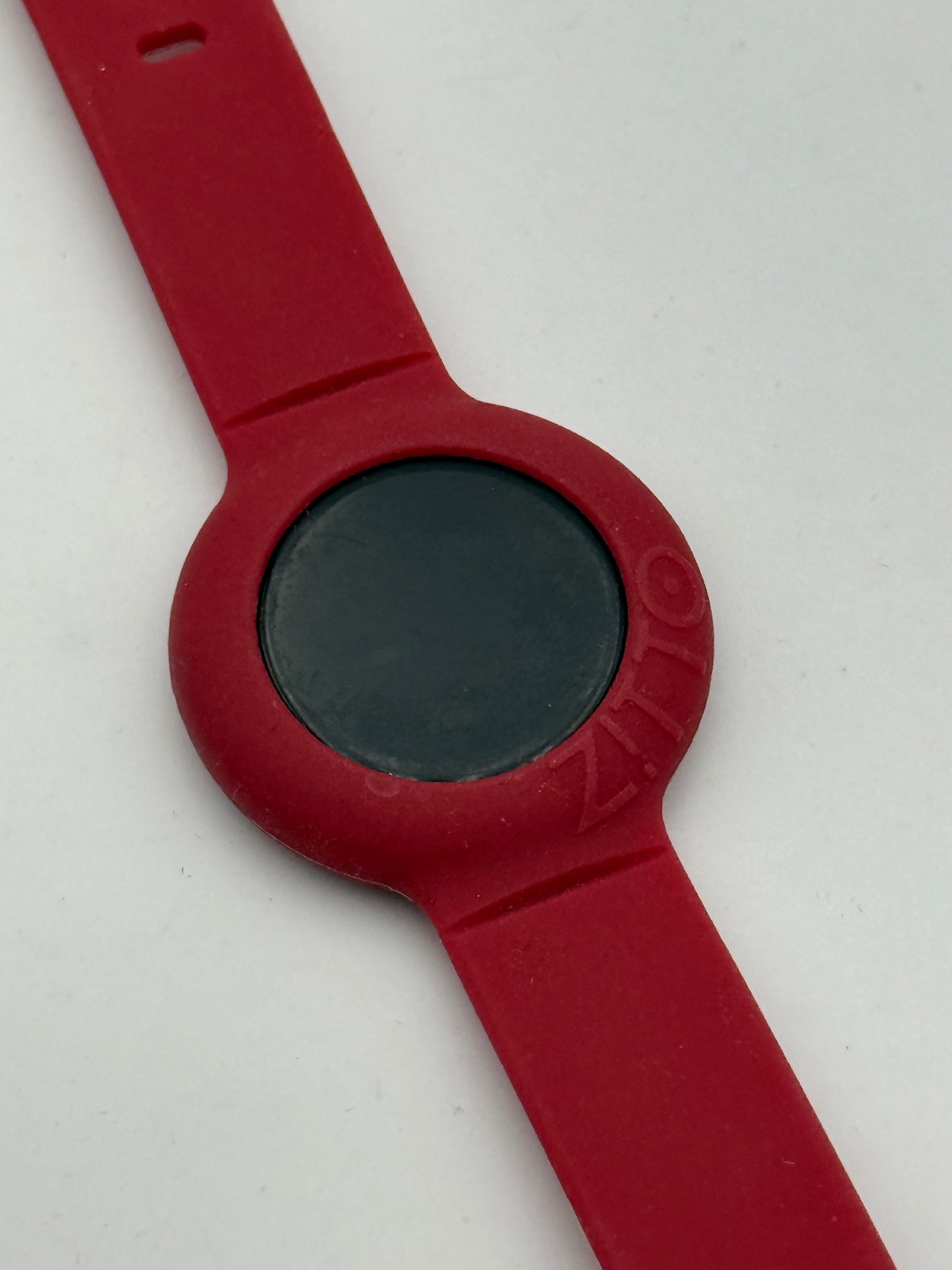 zitto mio watch 36.5mm