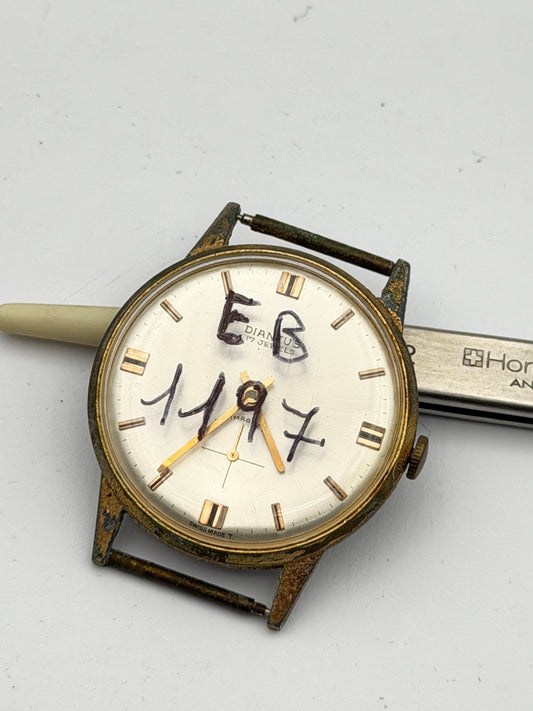 diantus eb1197 34mm
