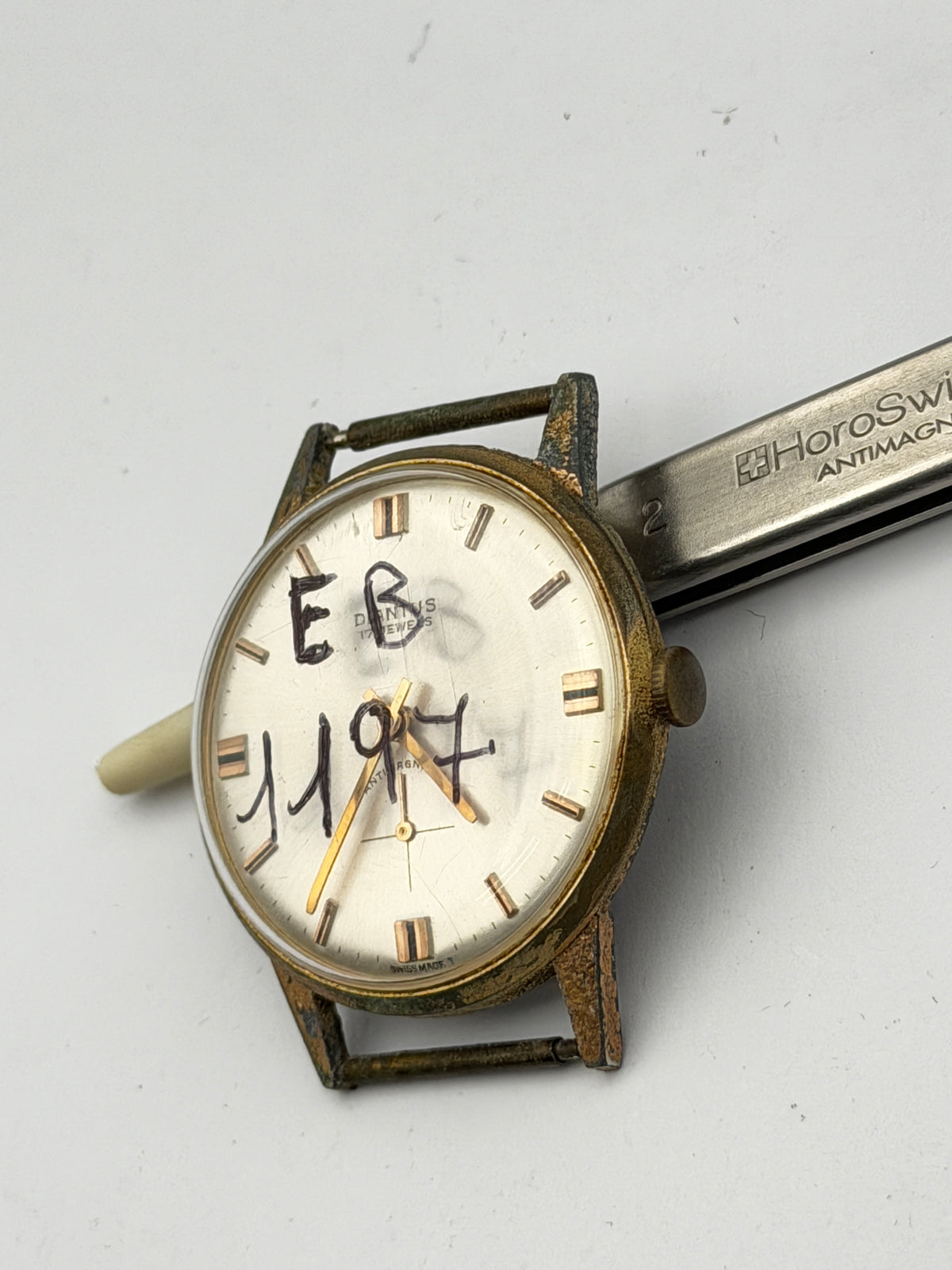 diantus eb1197 34mm