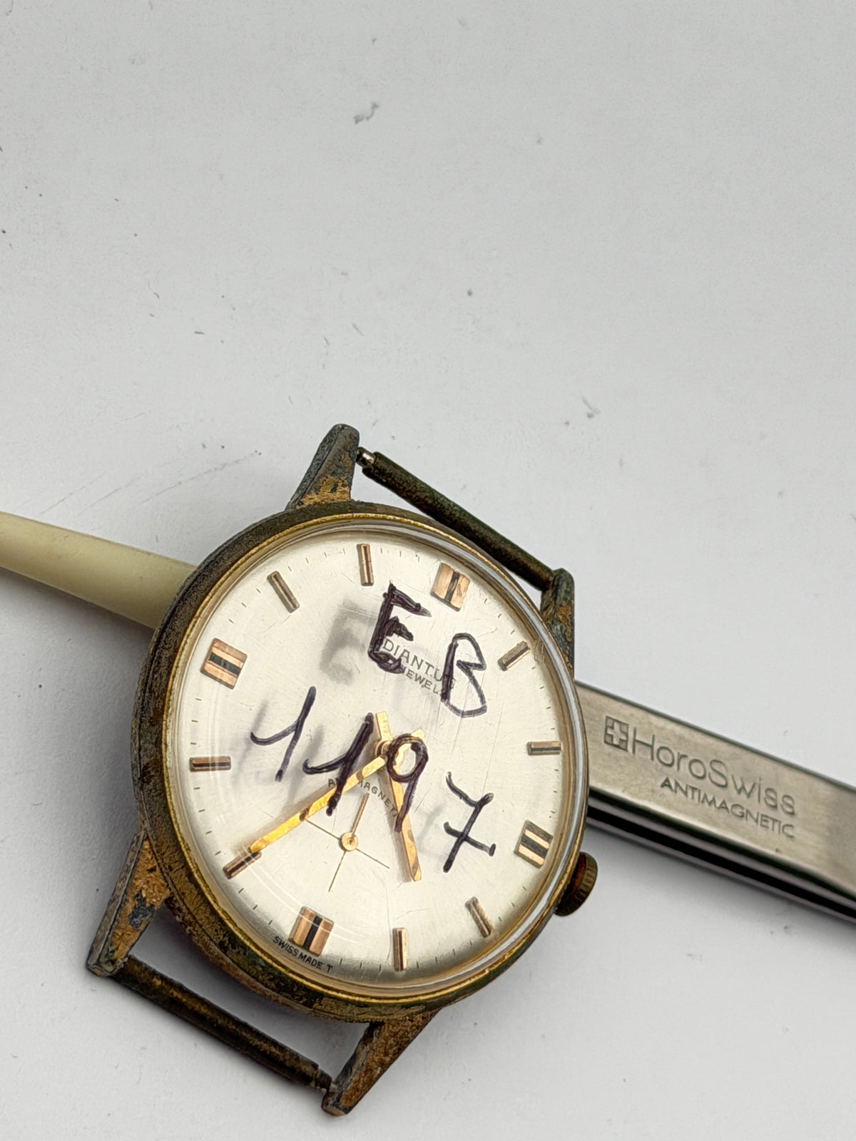 diantus eb1197 34mm