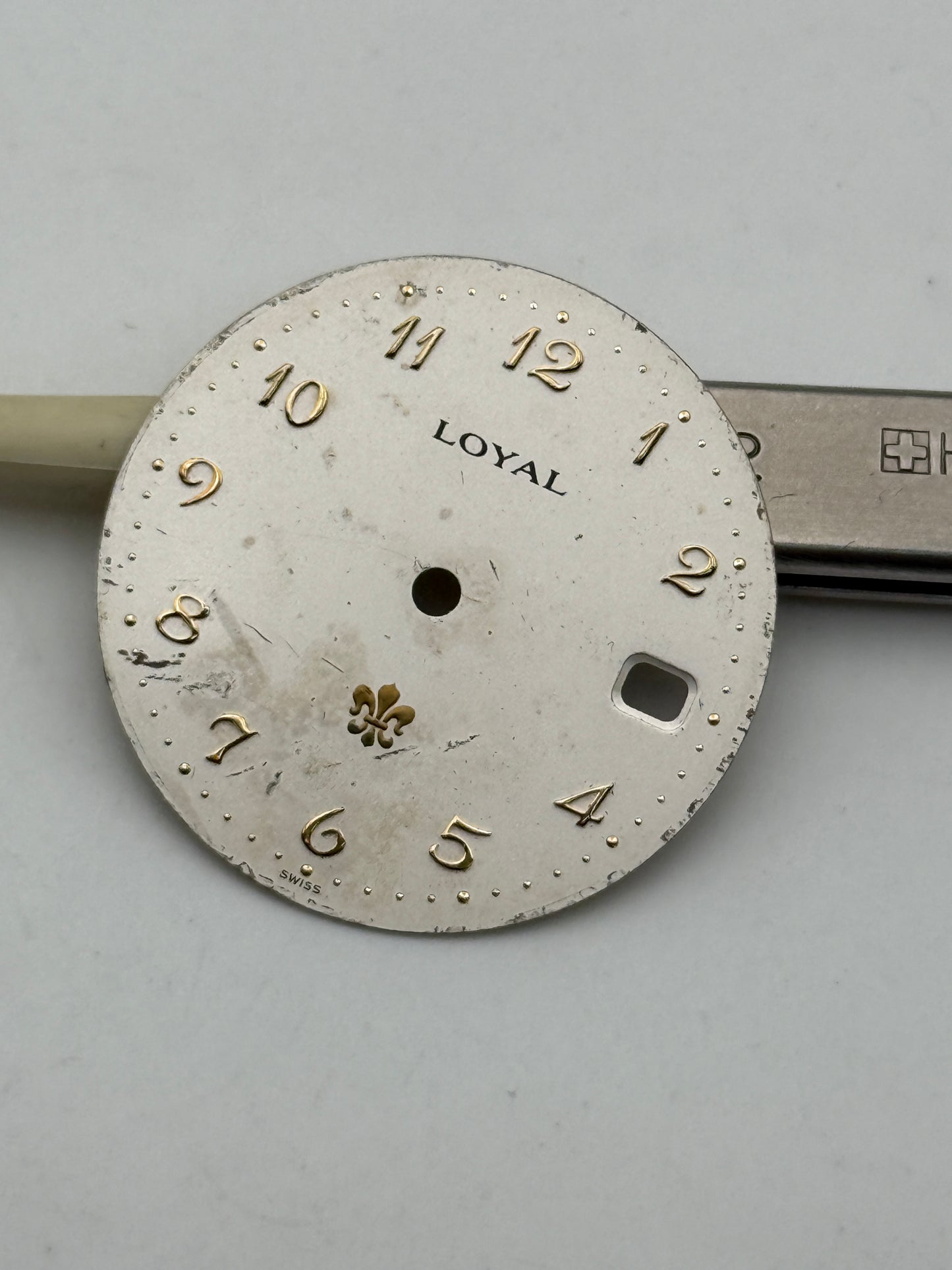 loyal 29mm dial quadrante