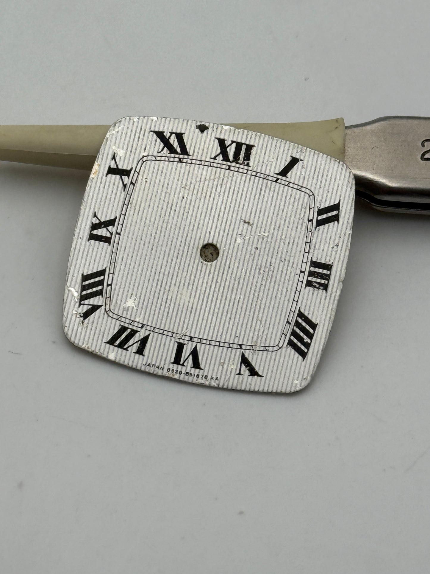 anonimo swiss made racine 24.7mm dial quadrante