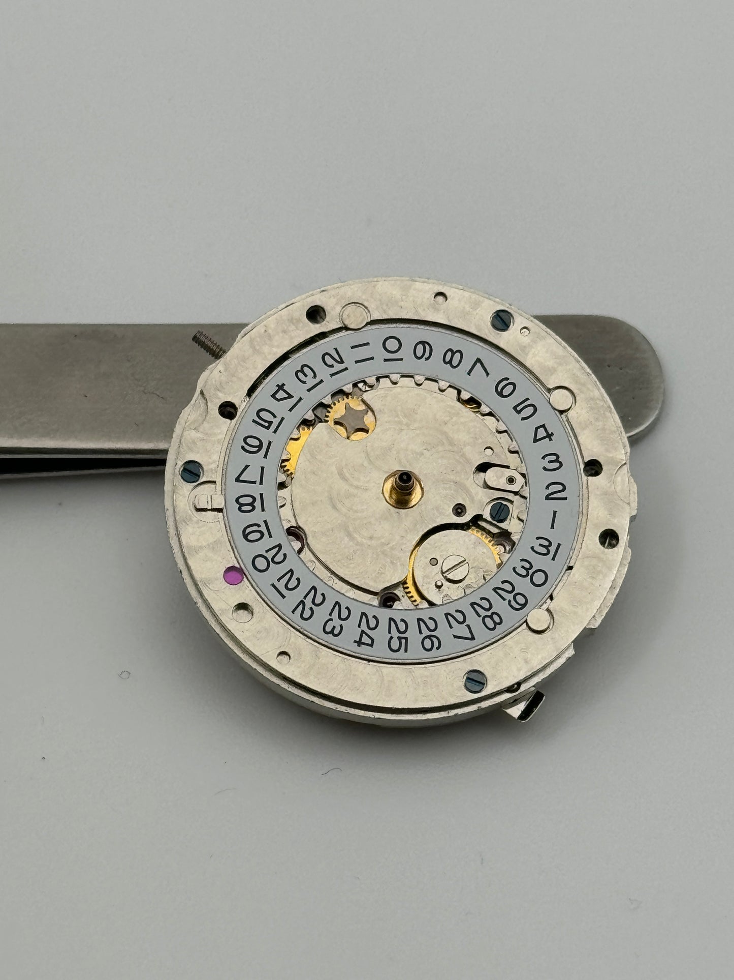 sh 3135 movement movimento