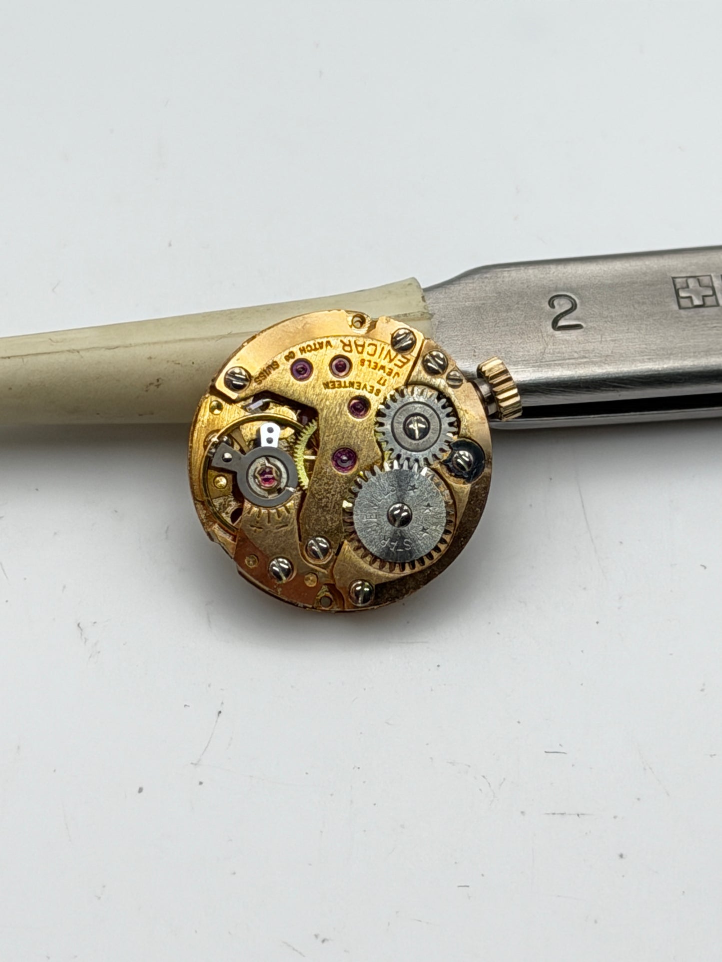 enicar star jewels movement movimento