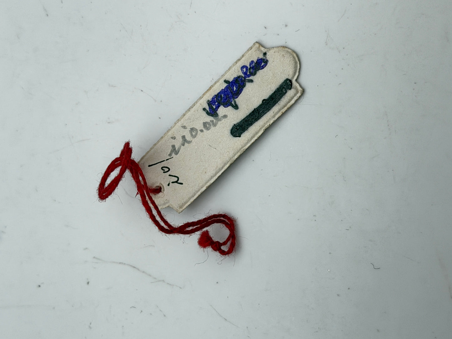 lorenz tag cartellino vintage