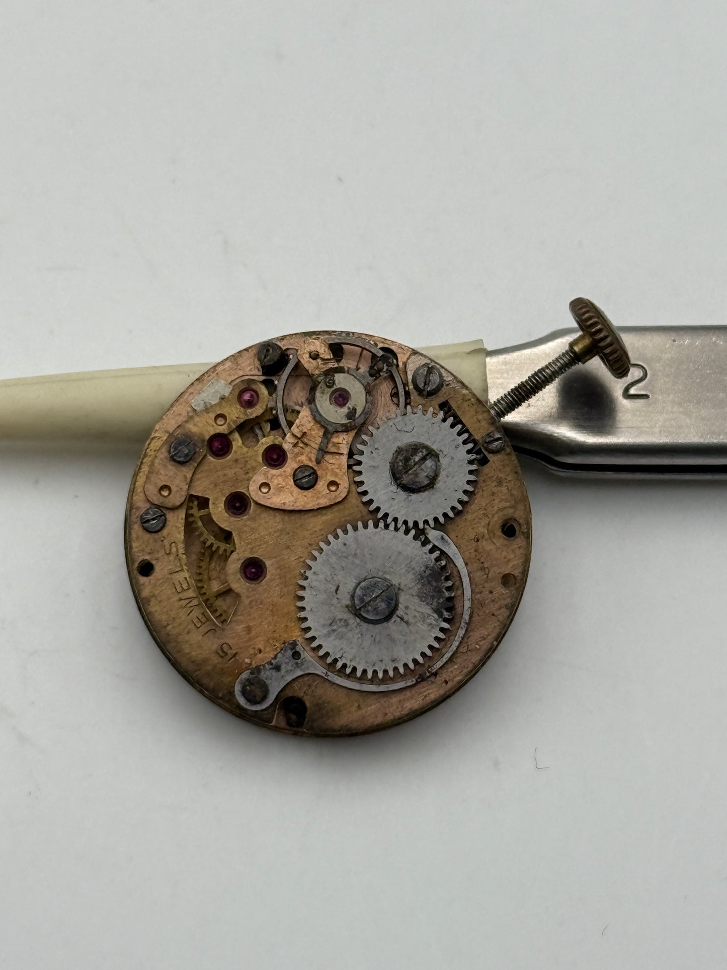 mayur 24mm movement movimento