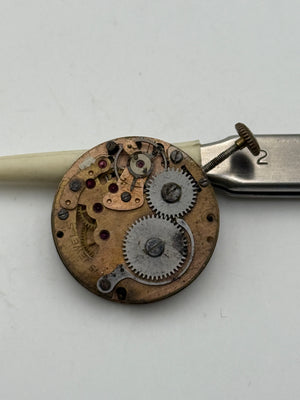 mayur 24mm movement movimento