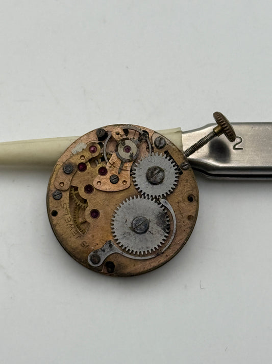 mayur 24mm movement movimento