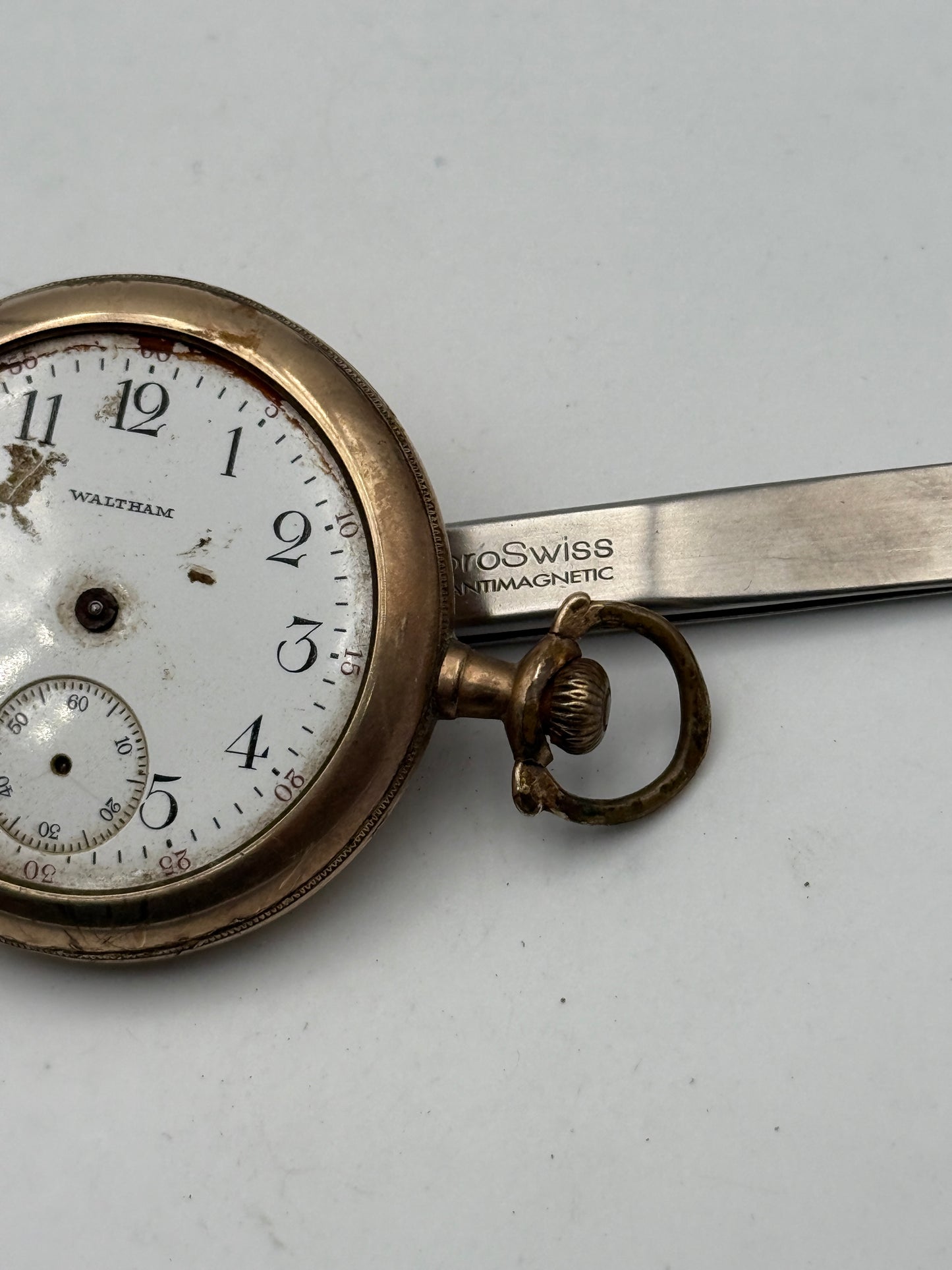 waltham tasca 50mm pocket watch plaque or