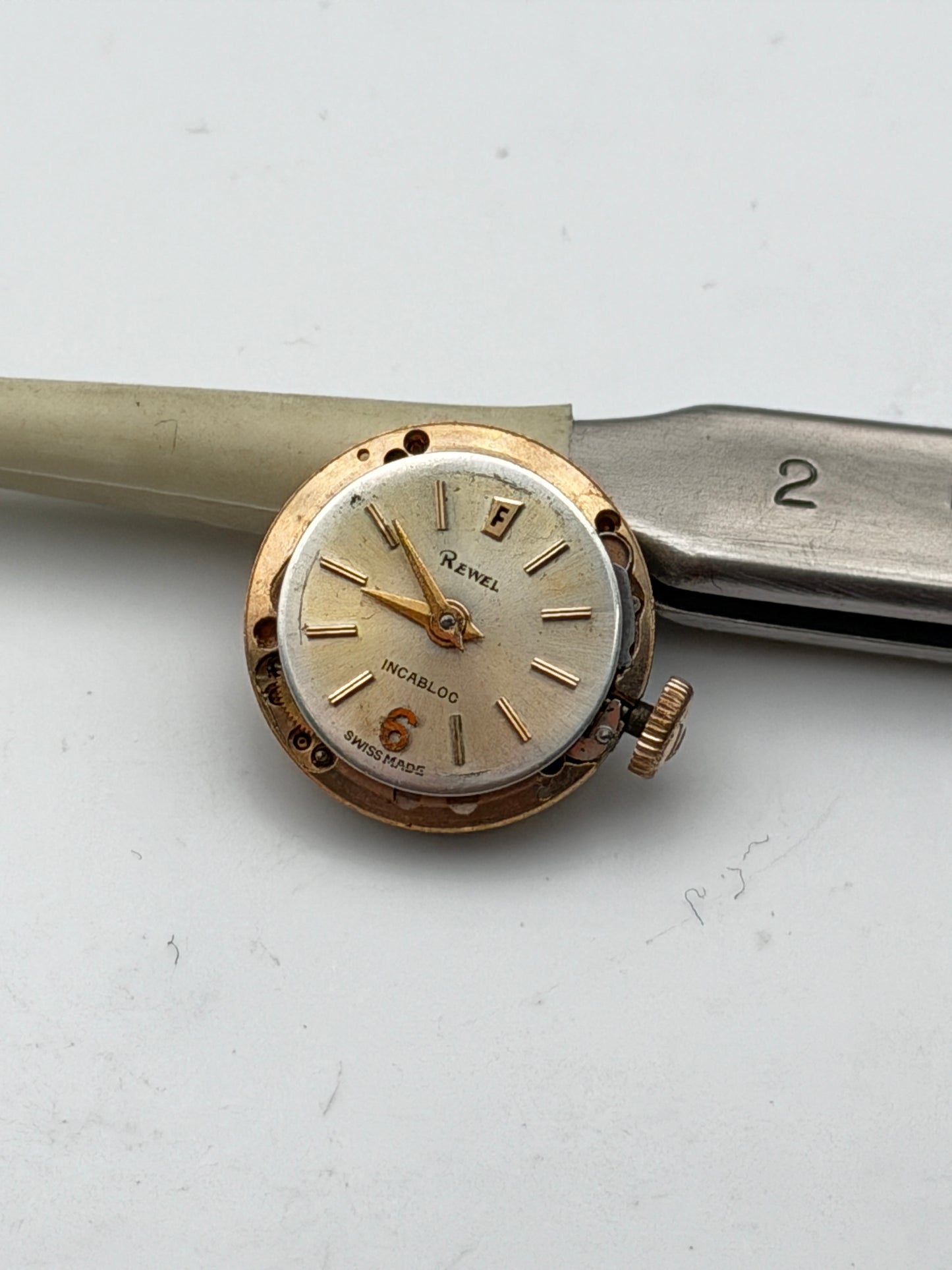 rewel festina eta 2412 movement movimento