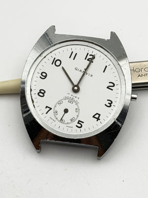 ginavix fs 36mm ferrovie