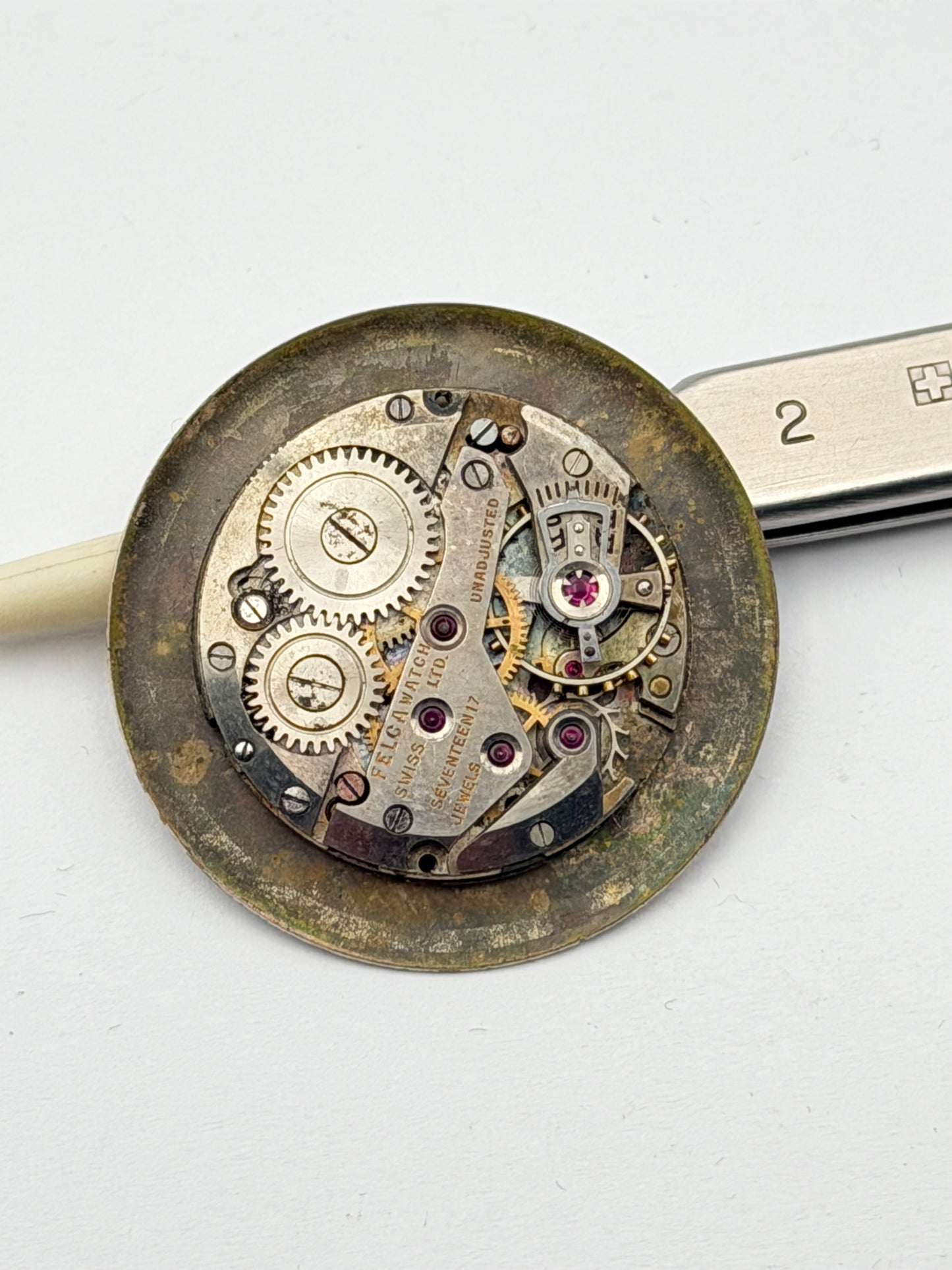felca watch movement movimento