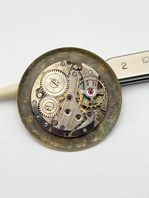 felca watch movement movimento