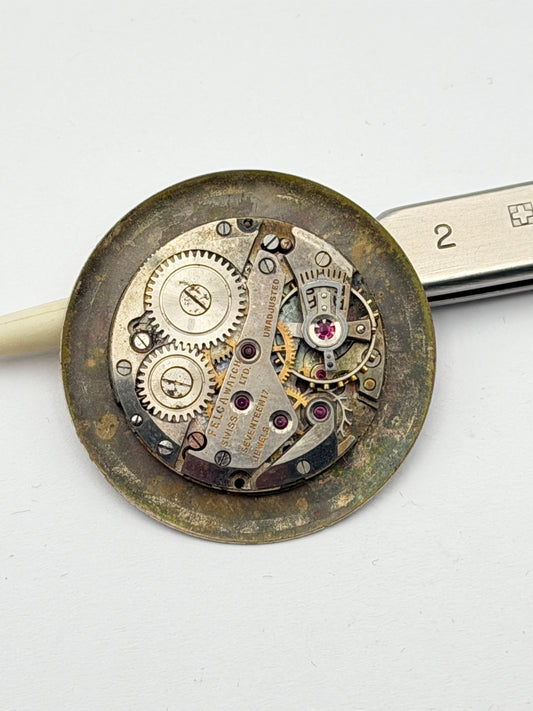 felca watch movement movimento
