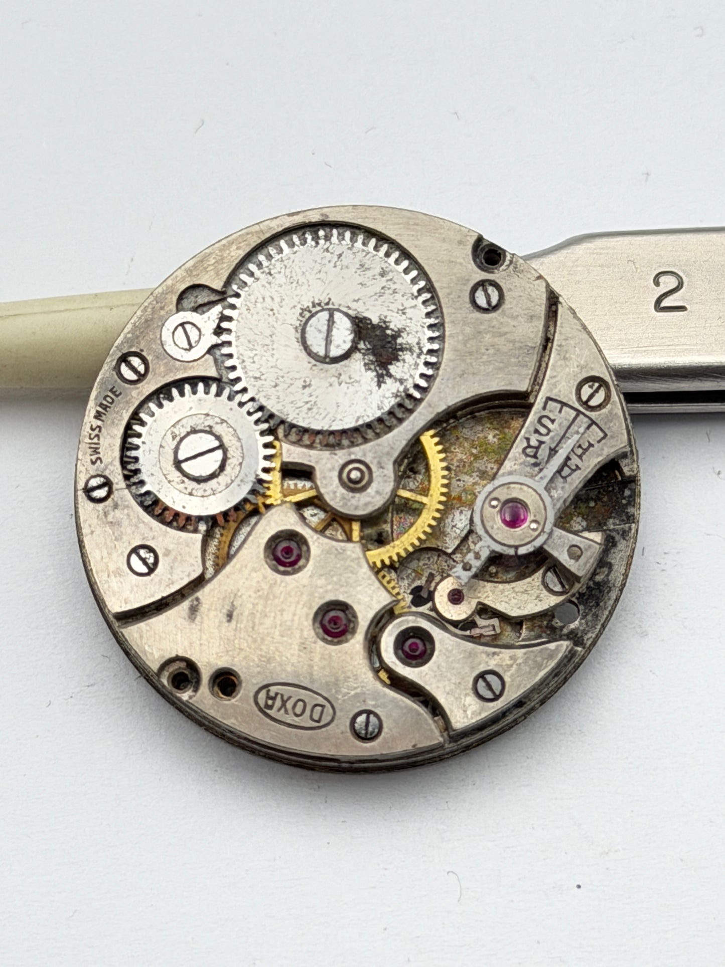 doxa military movement movimento