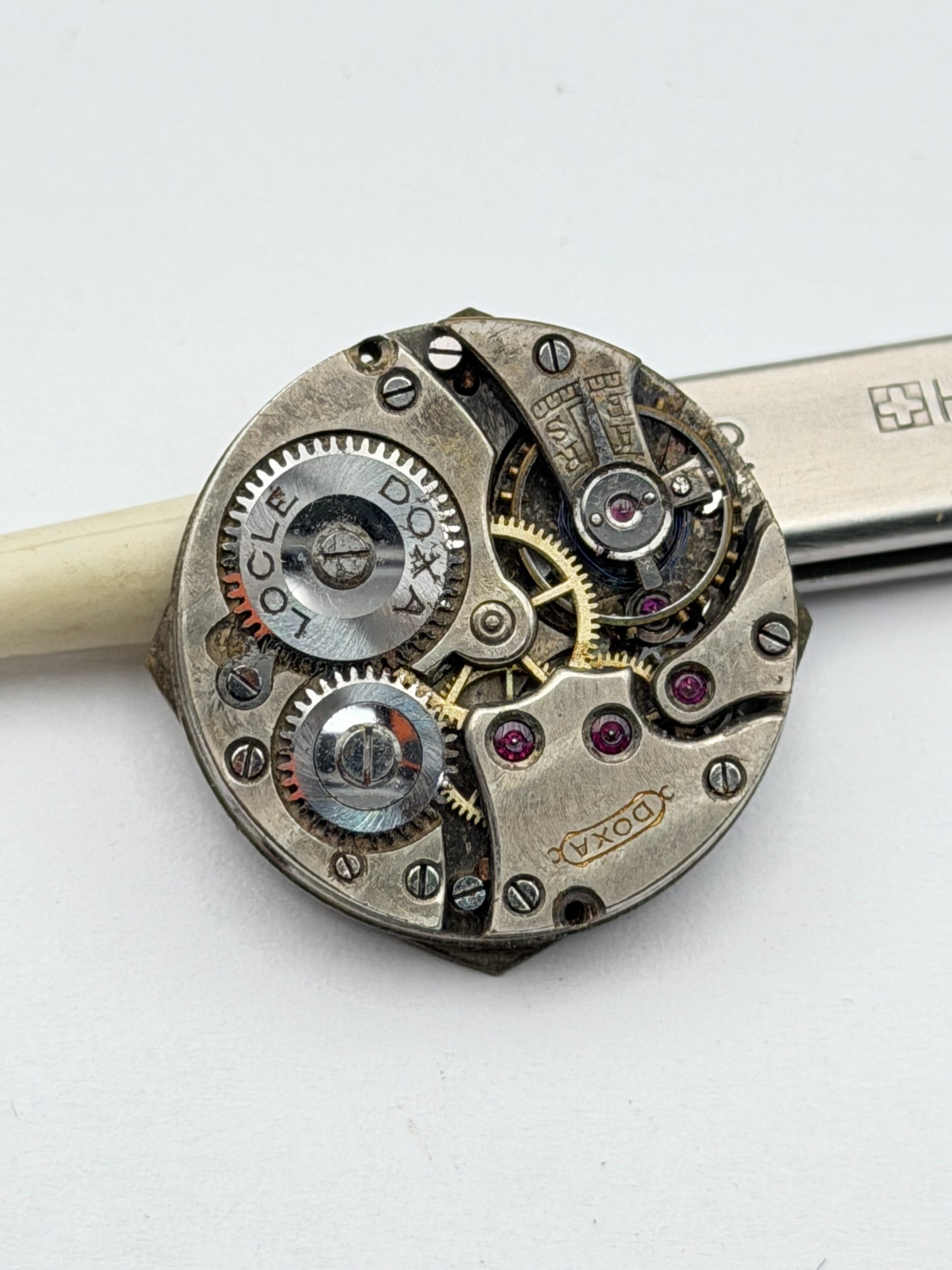 doxa locle movement movimento