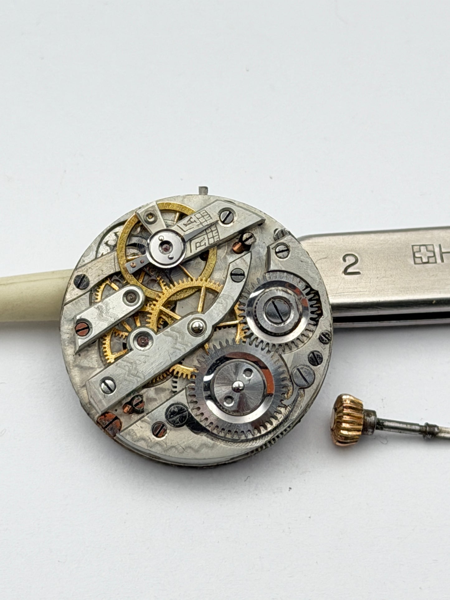 anonimo cilindro 25mm movement movimento