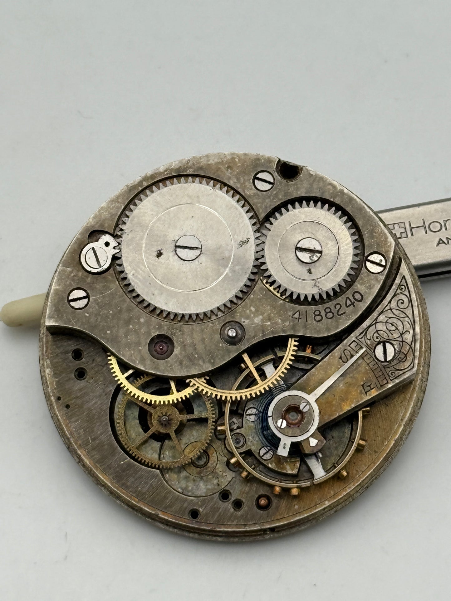 regina 45mm pocket watch movement movimento