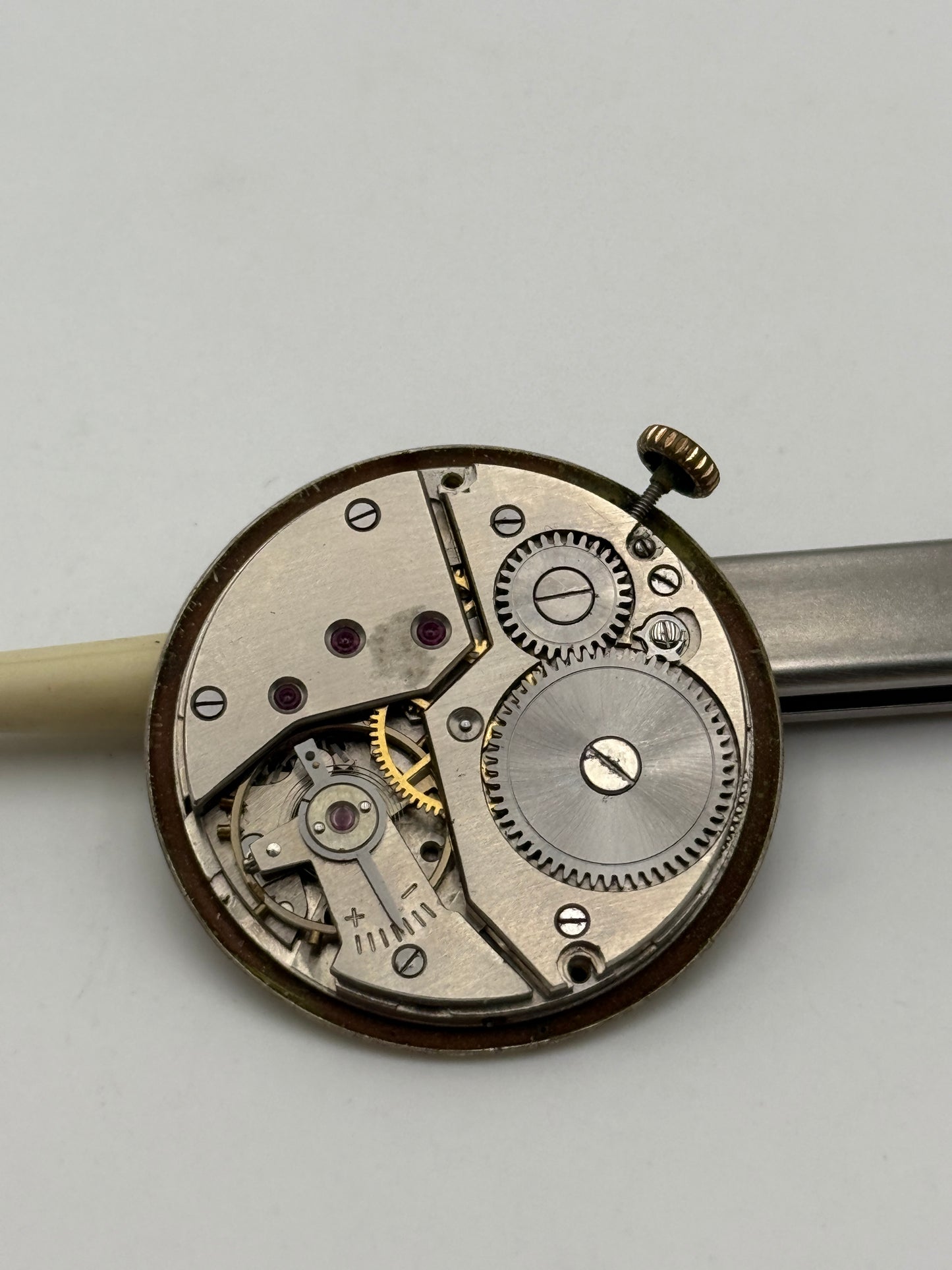 wintex ut movement movimento 24mm