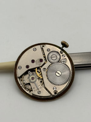 wintex ut movement movimento 24mm