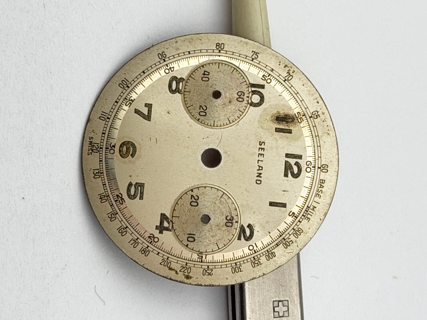 seeland chrono 31.5mm dial quadrante