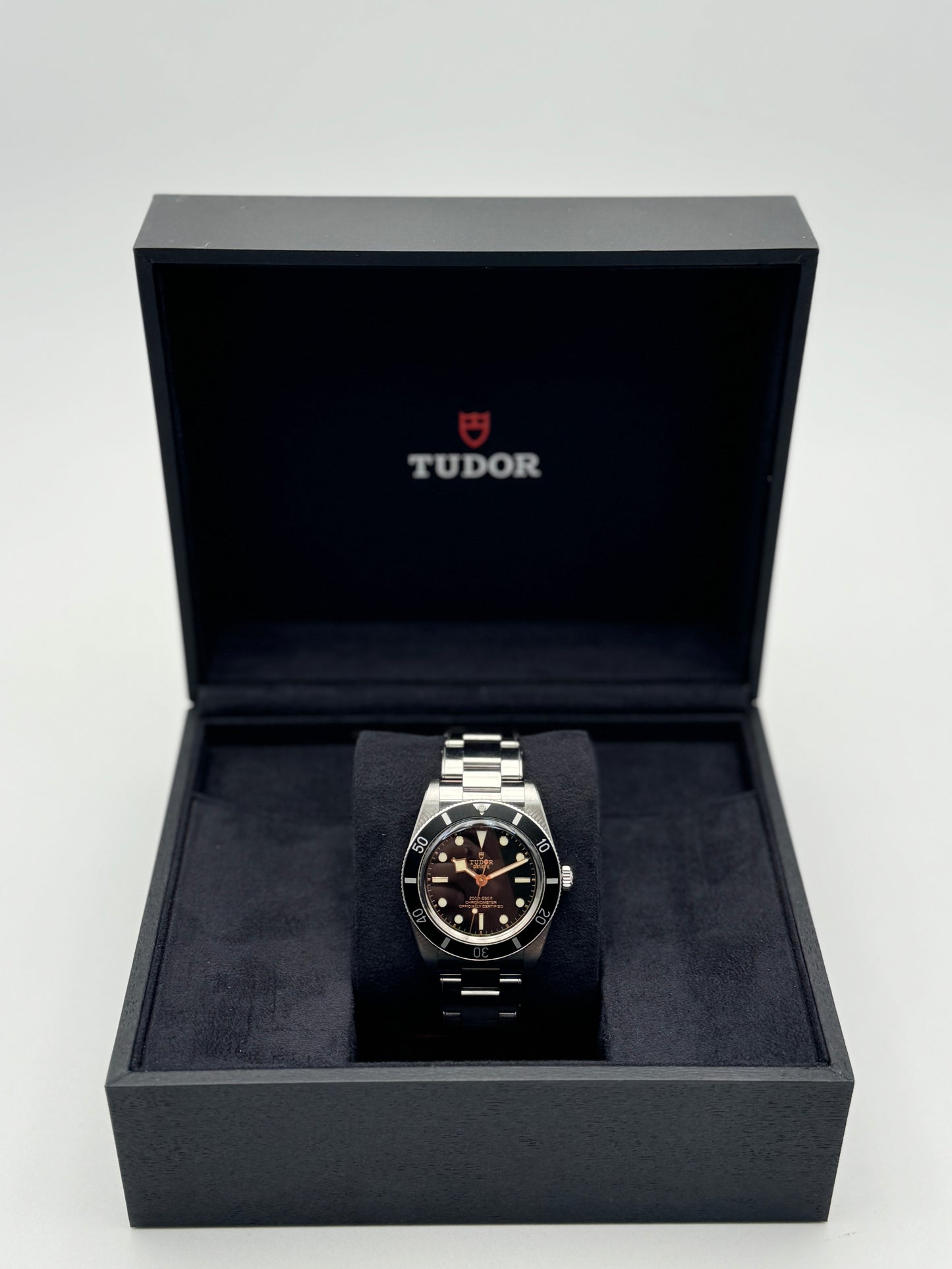 Tudor black bay 54 79000N