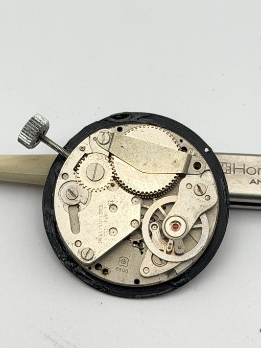 eb 8880 movement movimento