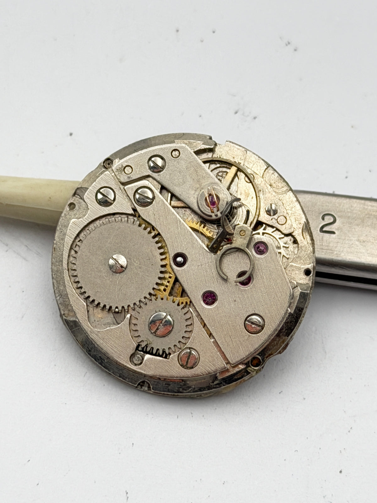 lorsa 238 movement movimento