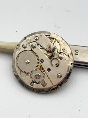 lorsa 238 movement movimento