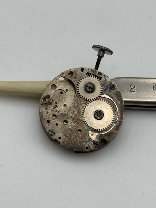 bfg 800 movement movimento